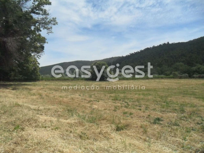 Terreno Agricola ou Rústico para Venda em Paul Foto 4