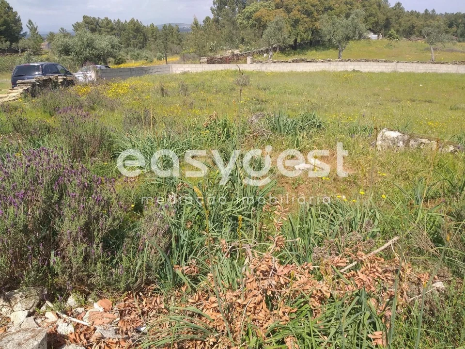 Terreno para Venda em Benquerenças Foto 4