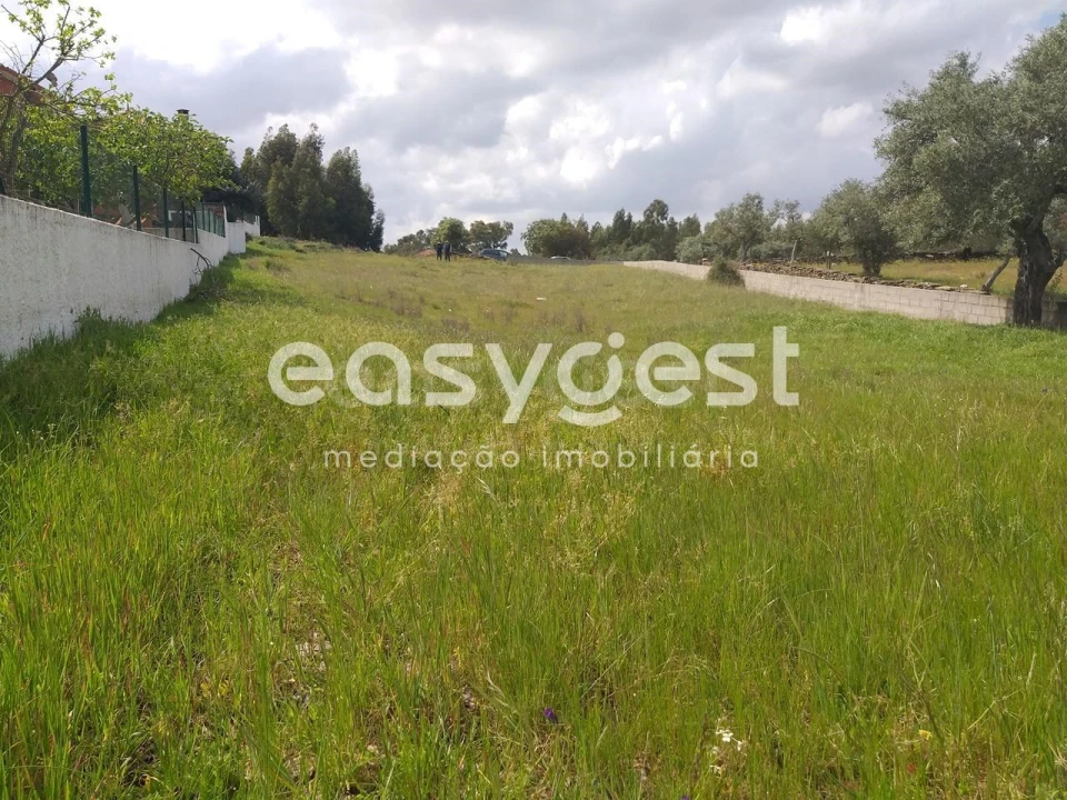 Terreno para Venda em Benquerenças Foto 6