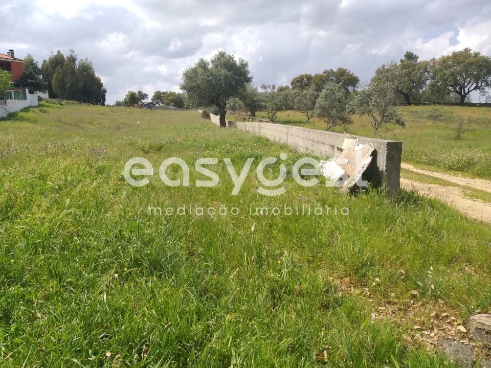 Terreno para Venda em Benquerenças Foto 8