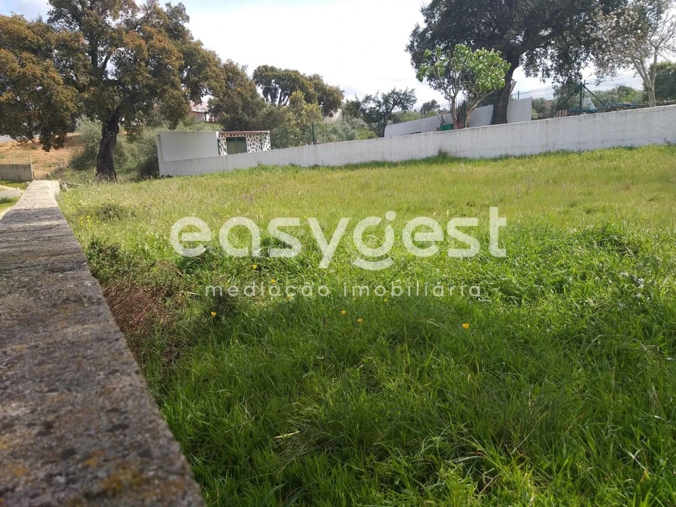 Terreno para Venda em Benquerenças Foto 9