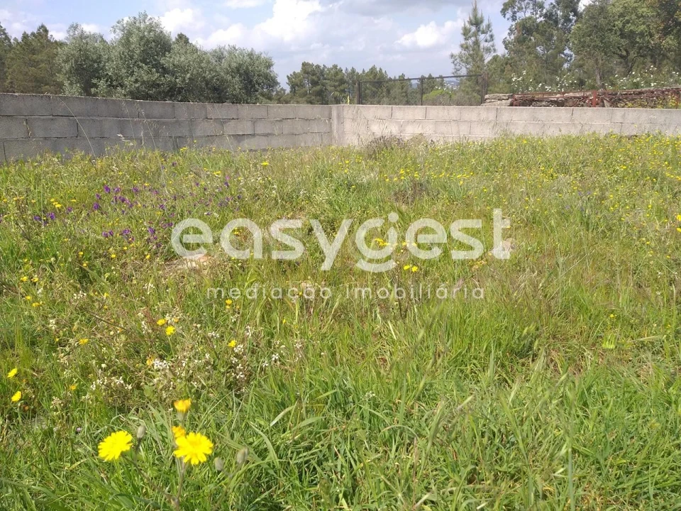 Terreno para Venda em Benquerenças Foto 15