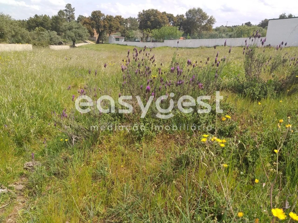 Terreno para Venda em Benquerenças Foto 16