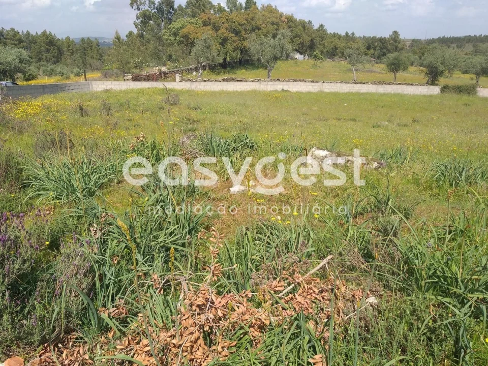 Terreno para Venda em Benquerenças Foto 20