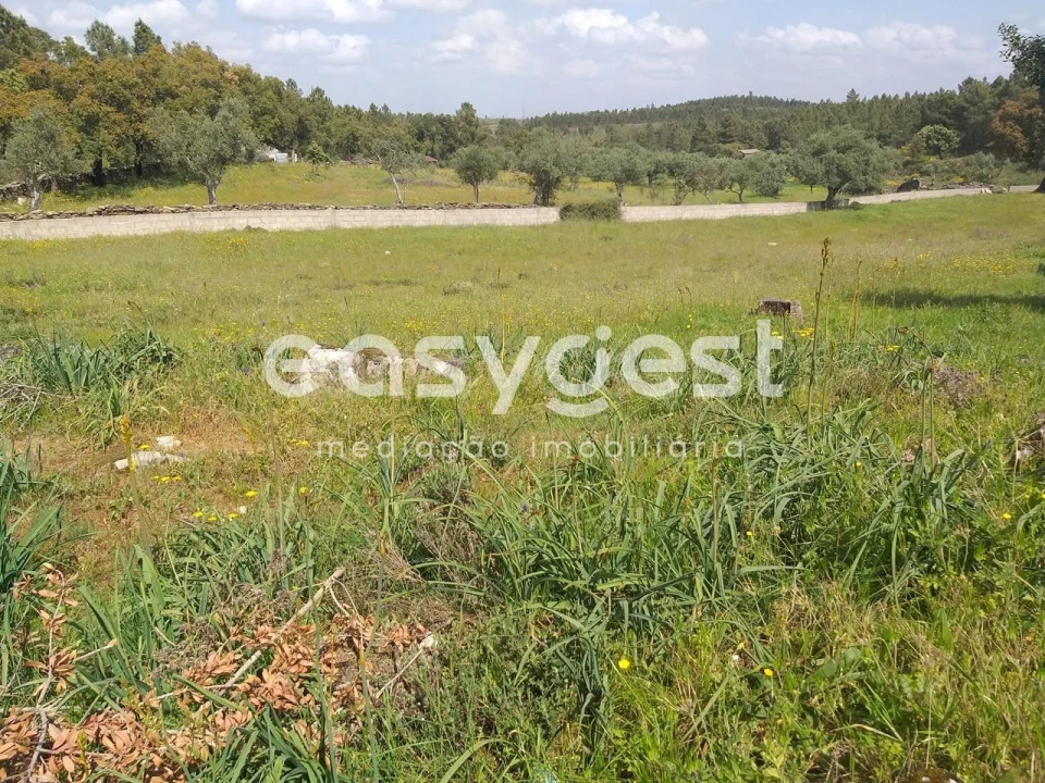 Terreno para Venda em Benquerenças Foto 21