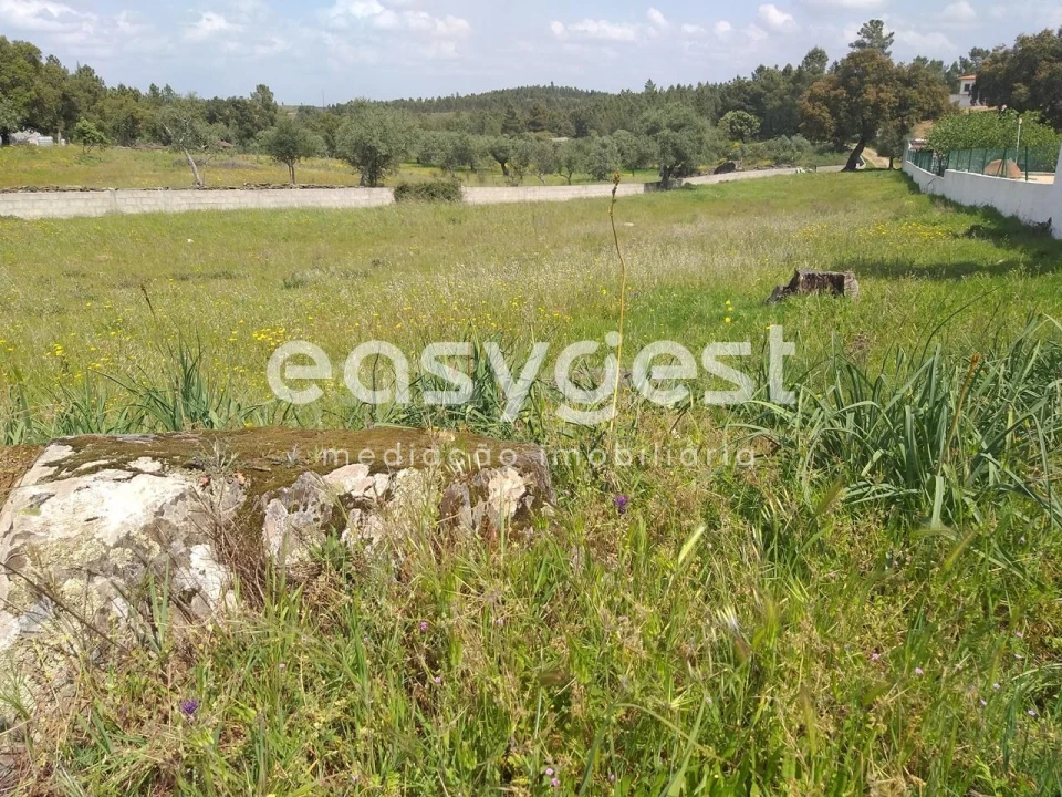 Terreno para Venda em Benquerenças Foto 22