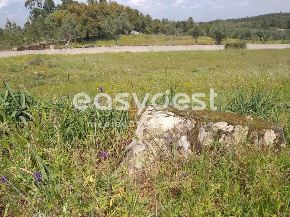Terreno para Venda em Benquerenças Foto 23