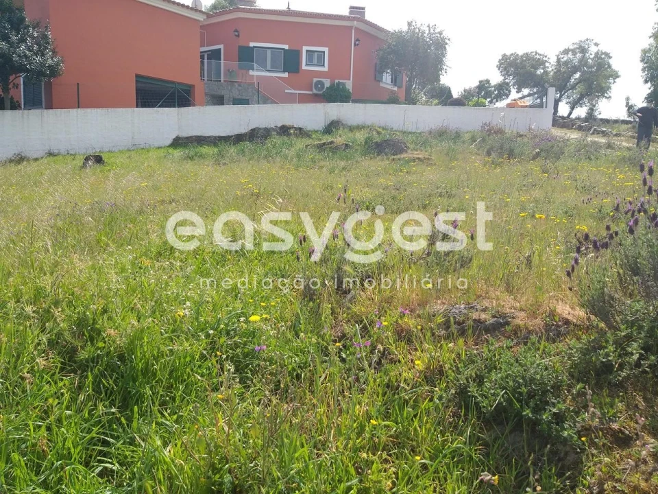 Terreno para Venda em Benquerenças Foto 26