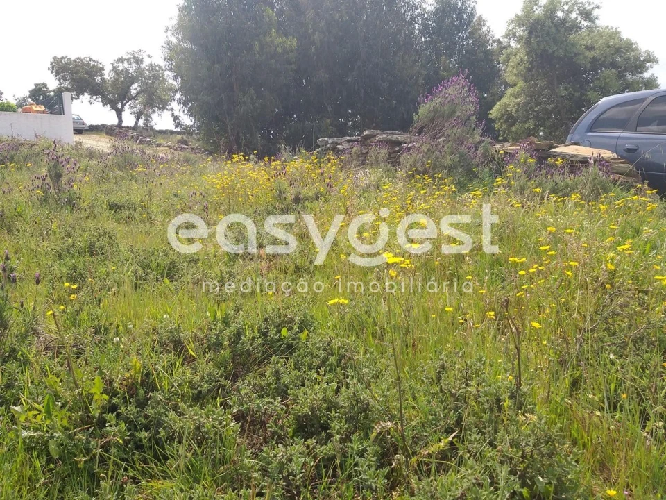 Terreno para Venda em Benquerenças Foto 27