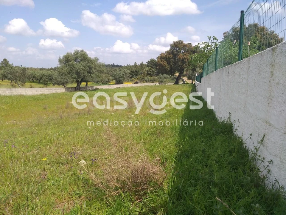 Terreno para Venda em Benquerenças Foto 32