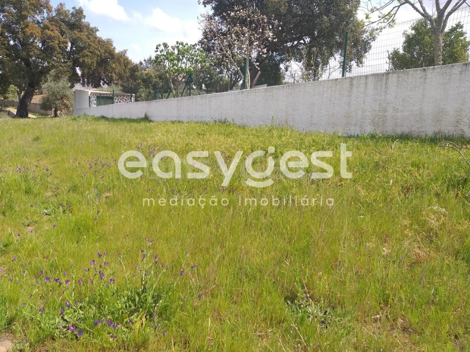 Terreno para Venda em Benquerenças Foto 34