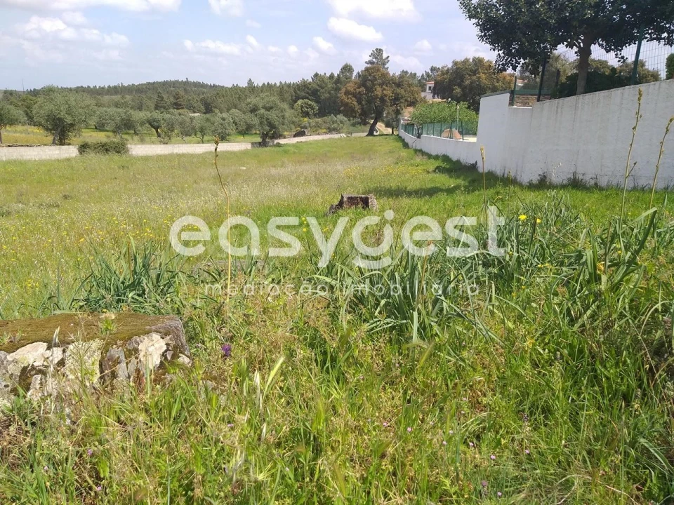 Terreno para Venda em Benquerenças Foto 35