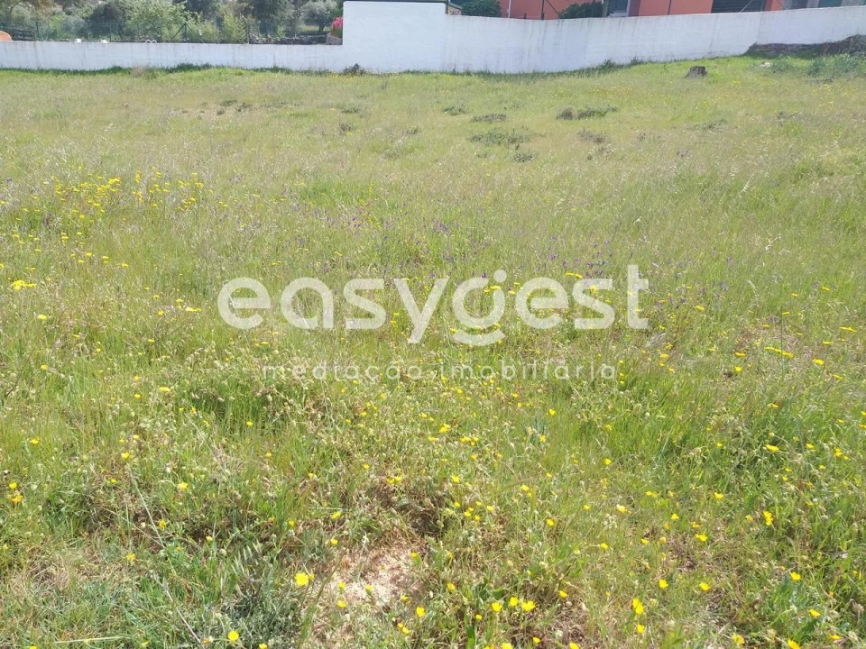 Terreno para Venda em Benquerenças Foto 38