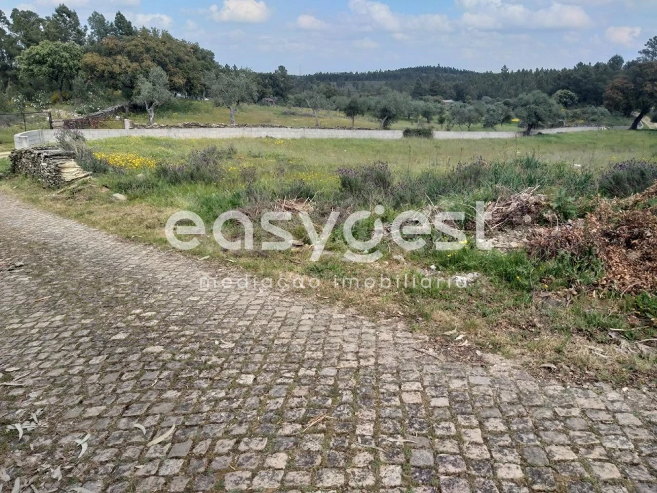 Terreno para Venda em Benquerenças Foto 45