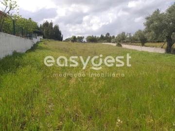Terreno para Venda em Benquerenças