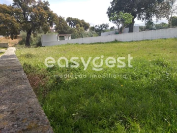 Terreno para Venda em Benquerenças