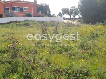 Terreno para Venda em Benquerenças