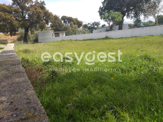 Terreno para Venda em Benquerenças Foto 9