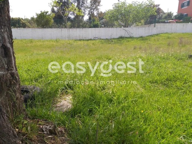 Terreno para Venda em Benquerenças Foto 10