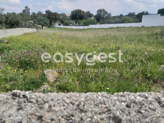 Terreno para Venda em Benquerenças Foto 13