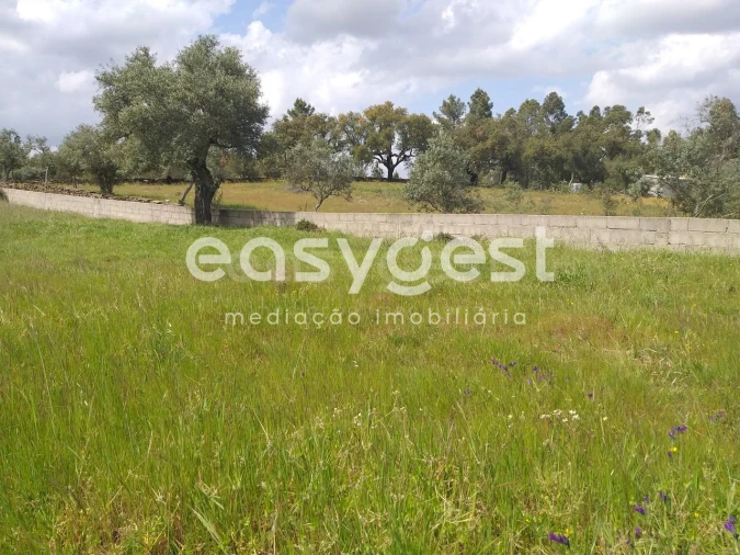 Terreno para Venda em Benquerenças Foto 18