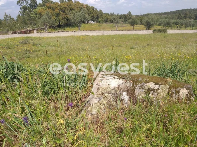 Terreno para Venda em Benquerenças Foto 23
