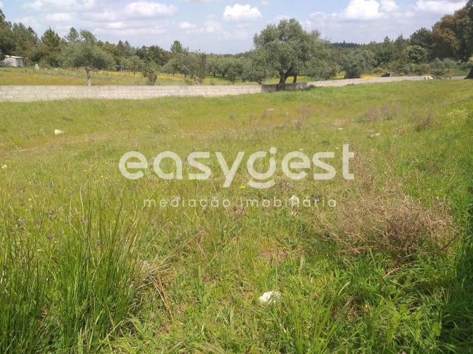 Terreno para Venda em Benquerenças Foto 30