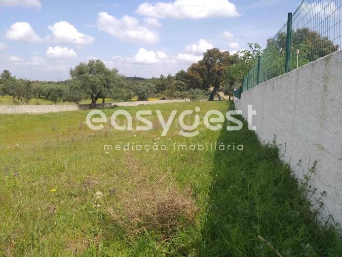 Terreno para Venda em Benquerenças Foto 32