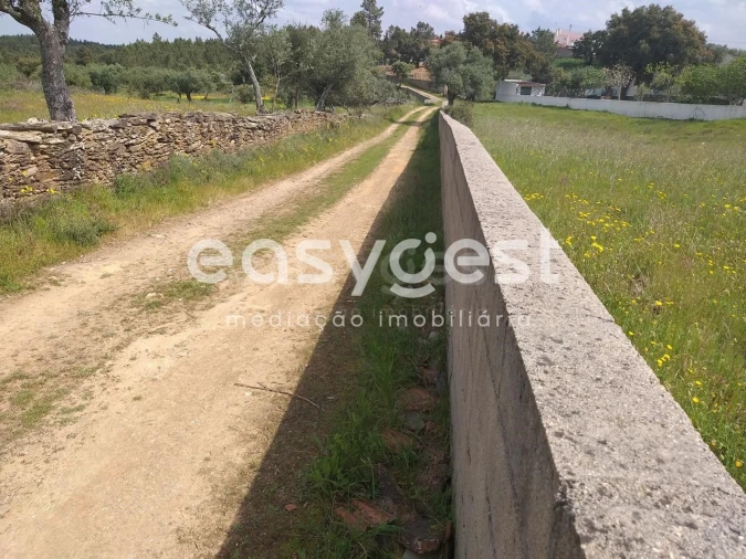 Terreno para Venda em Benquerenças Foto 40