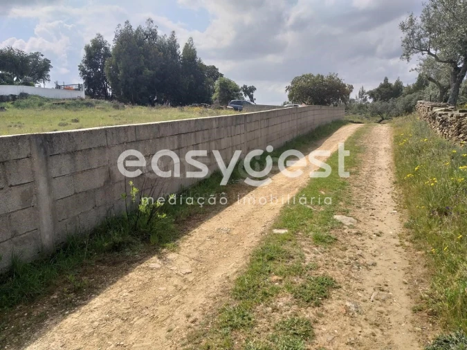 Terreno para Venda em Benquerenças Foto 42