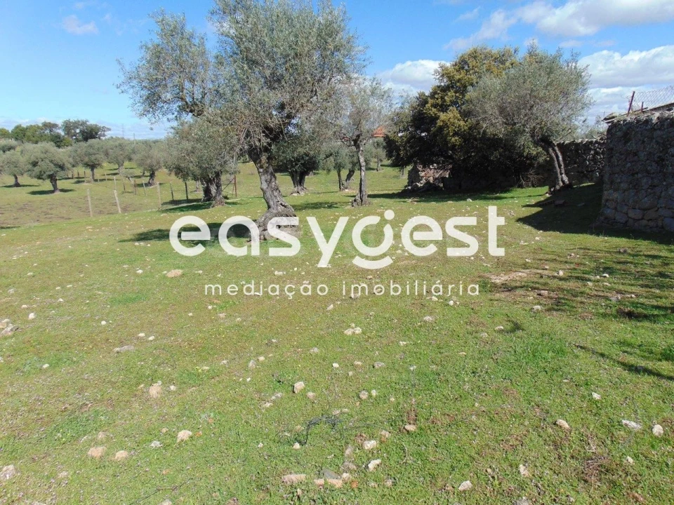 Armazém para Venda em Escalos de Cima e Lousa Foto 19