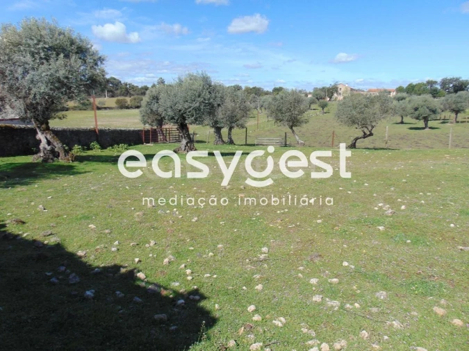Armazém para Venda em Escalos de Cima e Lousa Foto 35