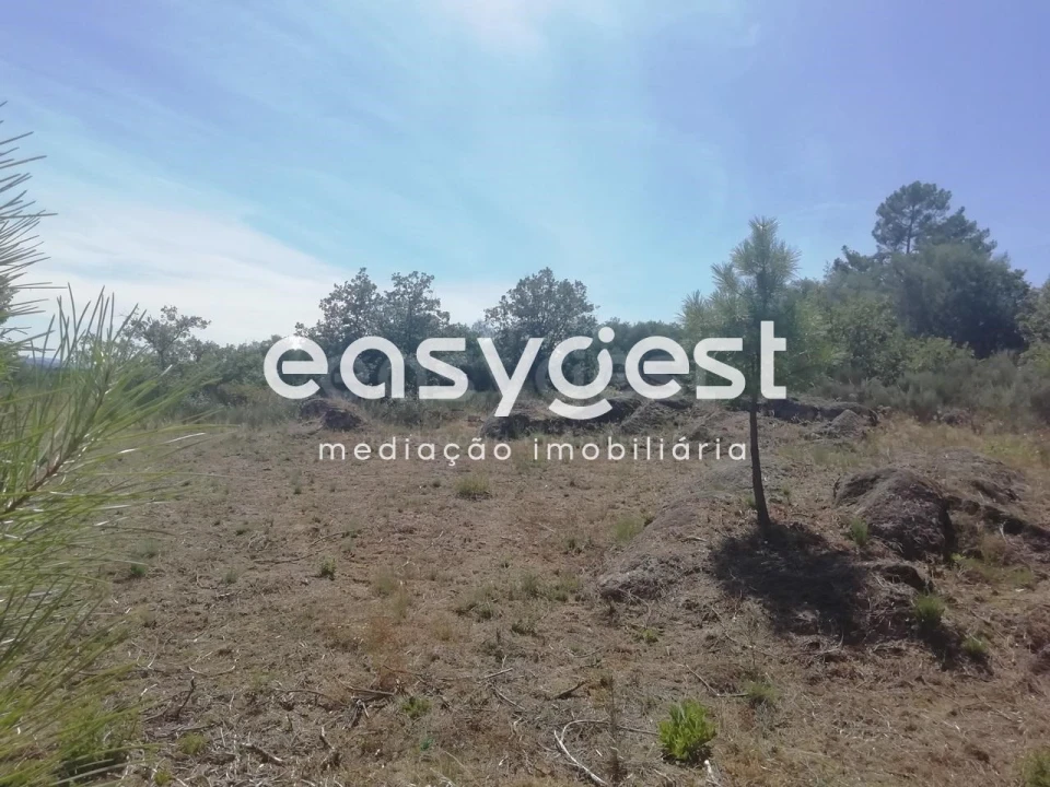 Terreno para Venda em Caria Foto 6