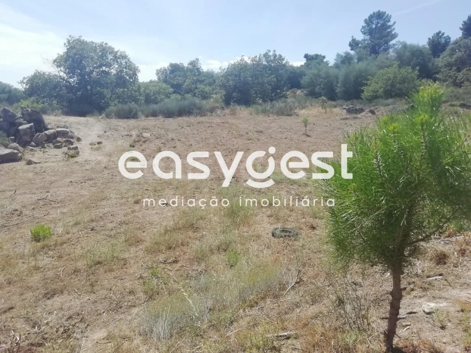 Terreno para Venda em Caria Foto 7