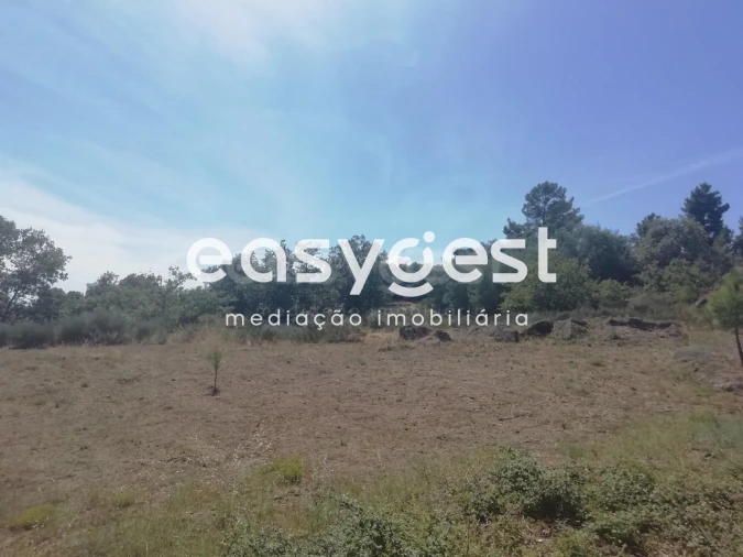 Terreno para Venda em Caria Foto 9