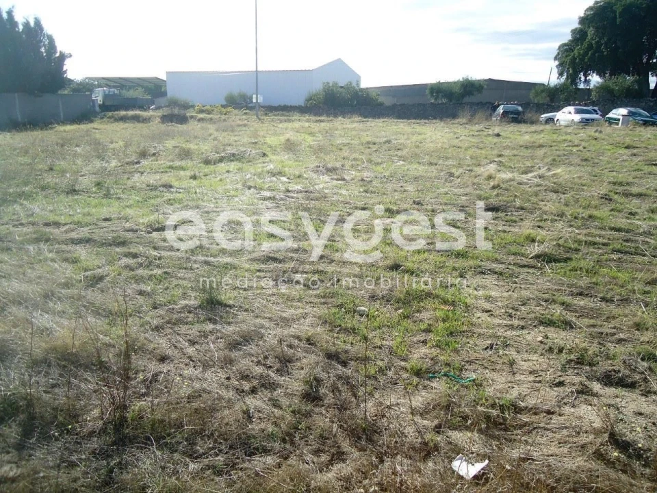 Terreno para Venda em Alcains Foto 5
