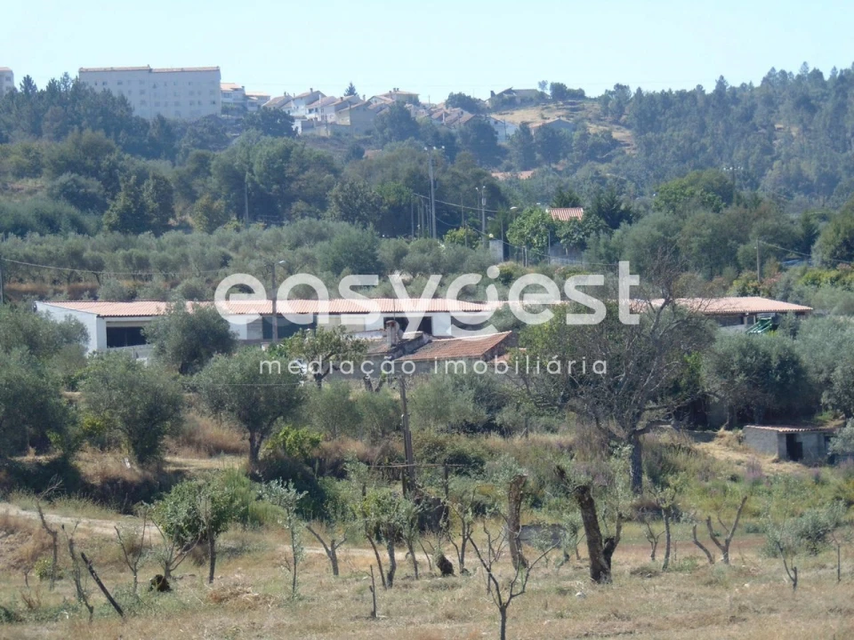 Terreno para Venda em Belmonte e Colmeal da Torre Foto 27