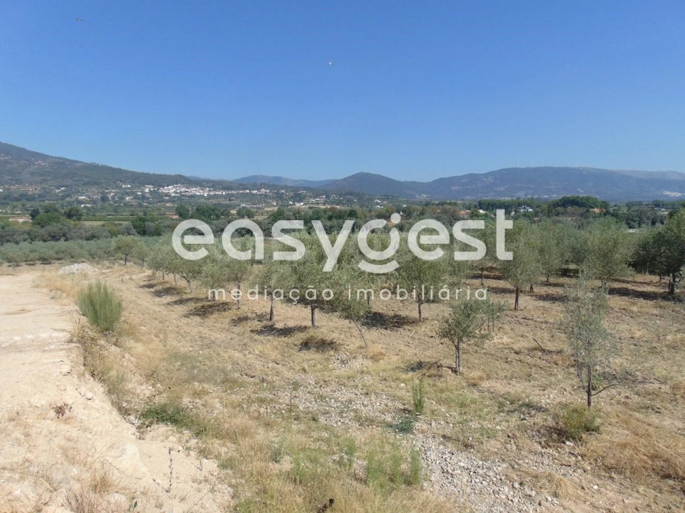 Terreno para Venda em Belmonte e Colmeal da Torre Foto 28