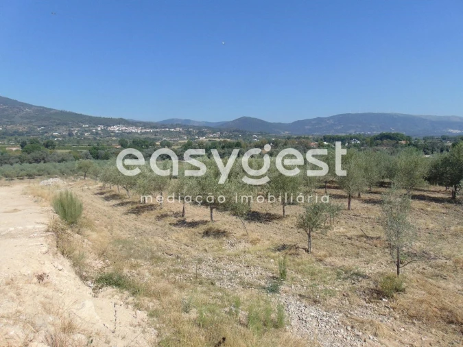 Terreno para Venda em Belmonte e Colmeal da Torre Foto 28