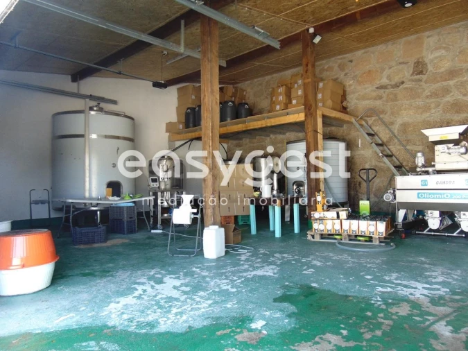 Terreno para Venda em Belmonte e Colmeal da Torre Foto 47