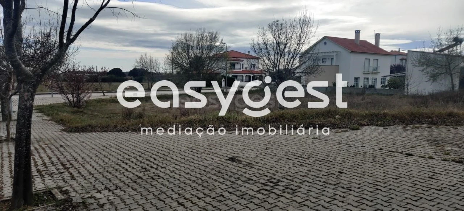 Terreno para Venda em Lardosa Foto 1
