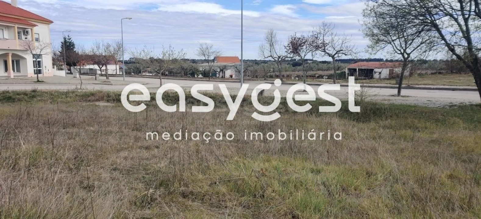 Terreno para Venda em Lardosa Foto 3