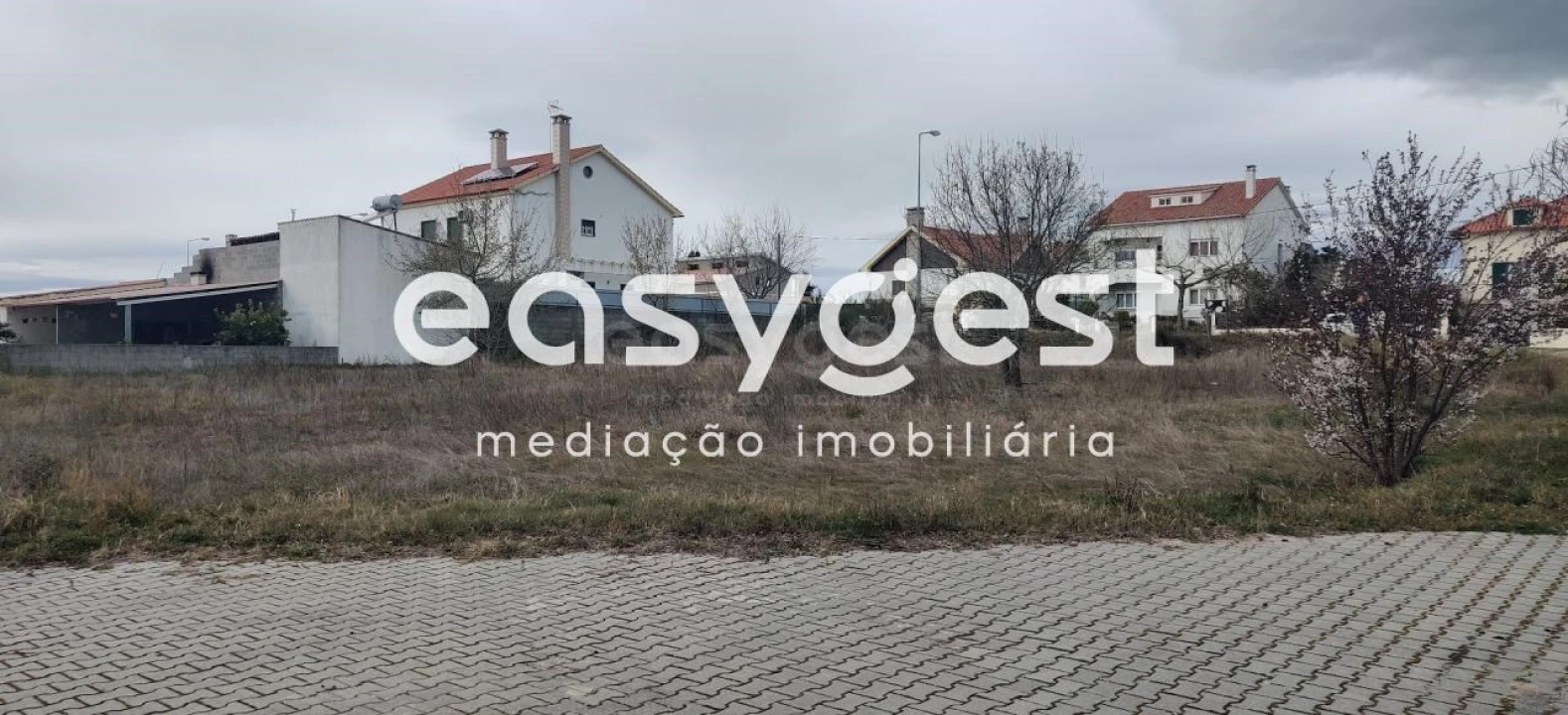 Terreno para Venda em Lardosa Foto 6