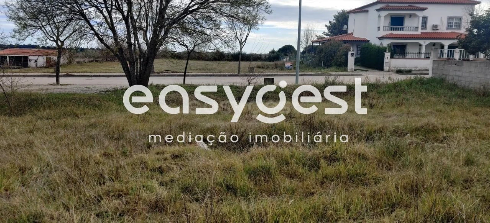 Terreno para Venda em Lardosa Foto 10