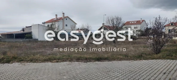 Terreno para Venda em Lardosa