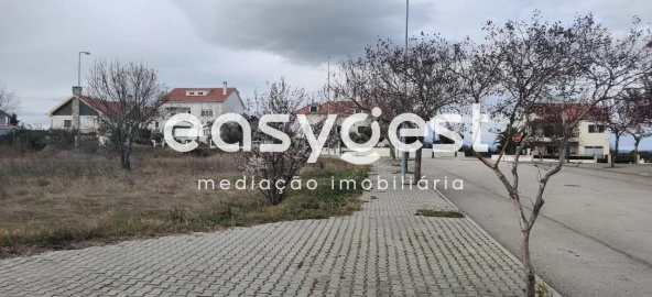 Terreno para Venda em Lardosa
