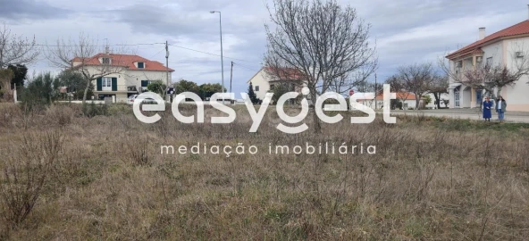 Terreno para Venda em Lardosa