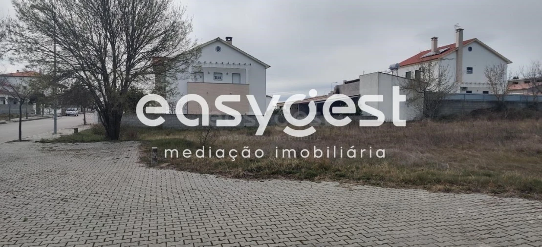 Terreno para Venda em Lardosa Foto 5
