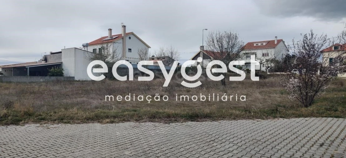 Terreno para Venda em Lardosa Foto 6