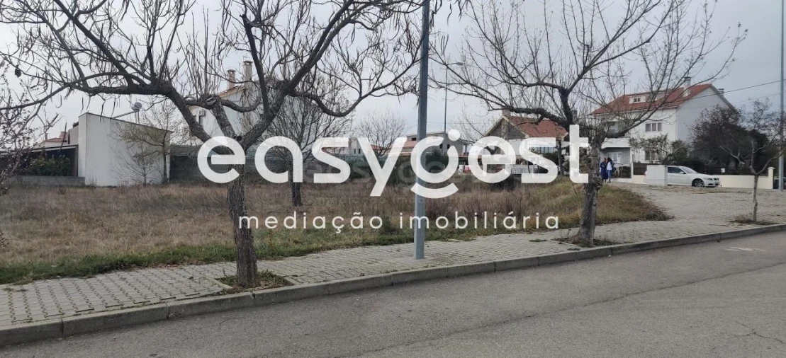 Terreno para Venda em Lardosa Foto 21